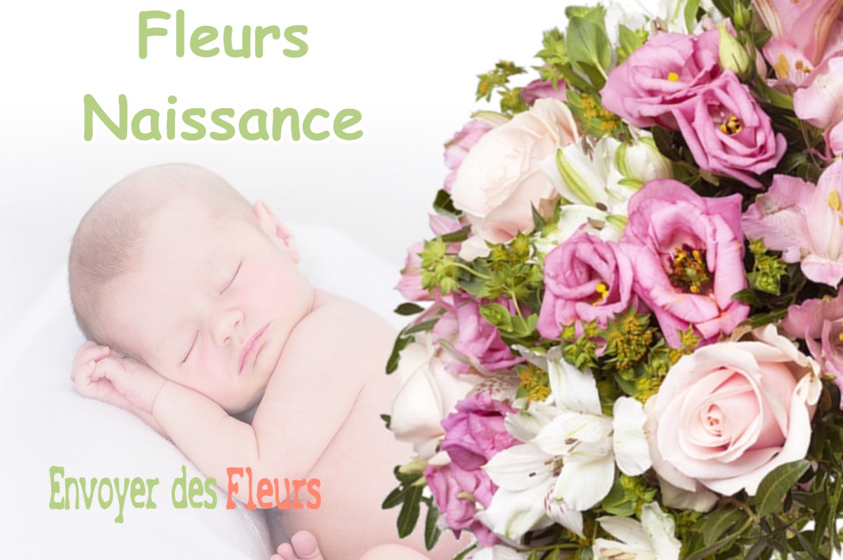 lIVRAISON FLEURS NAISSANCE à FONSORBES